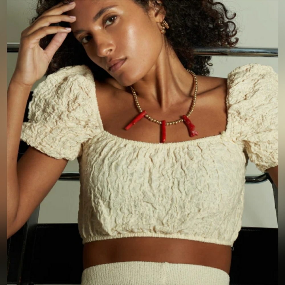 ZARA Prairie crop top